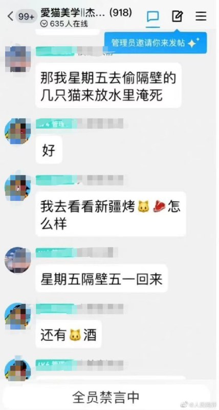 猫咪刽子手徐志辉，再次直播虐猫
