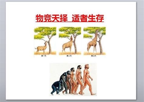 中国社会奉行的永恒真理中国社会奉行的永恒真理