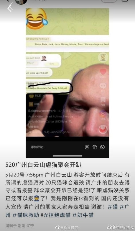 晶哥加入虐猫行动，全国大虐猫，消息来源