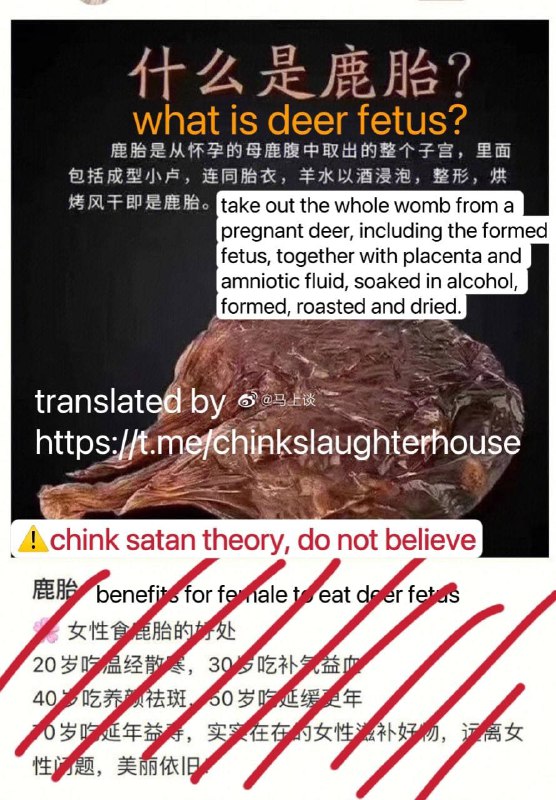 😱中国中医宣传食 动物胎盘😱中国中医宣传食 动物胎盘