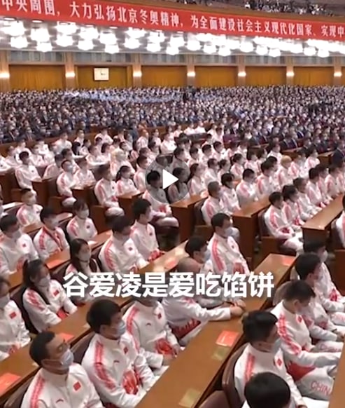 习豆包与谷馅饼#跨时代的爱恋投稿By