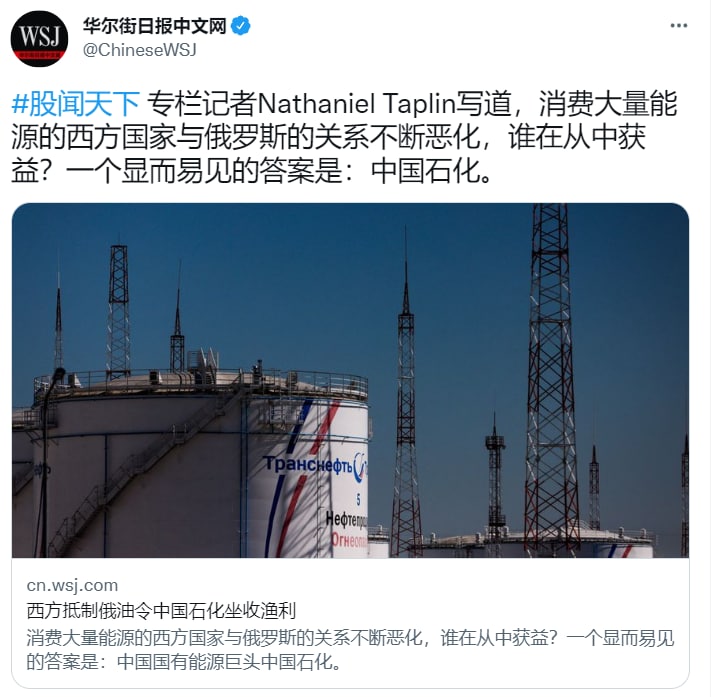又赢了，这下成为司马懿了共匪娼妓·马迎新·丸崽