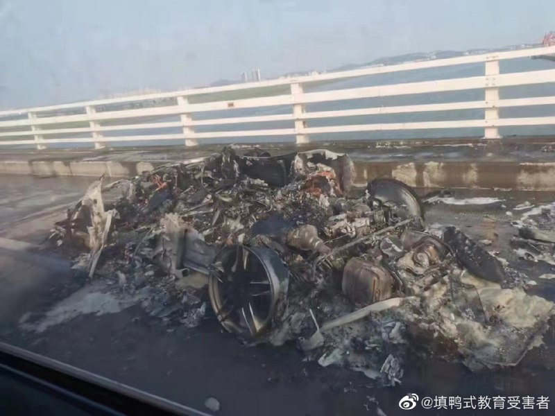 习近平倒车结局By