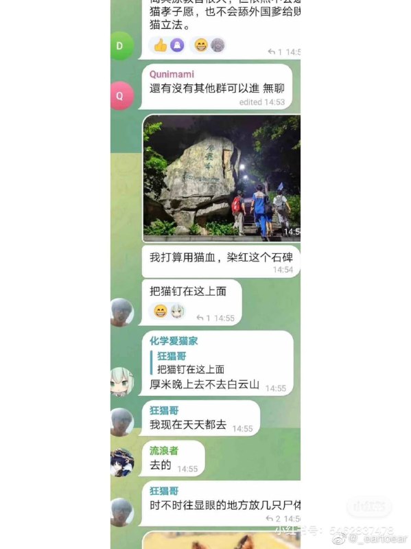 晶哥加入虐猫行动，全国大虐猫，消息来源