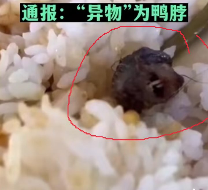 粉蛆开始洗地了，特意把鸭脖吃成这样来为官方站台， 怎么没吃出两个眼球？粉蛆开始洗地了，特意把鸭脖吃成这样来为官方站台， 怎么没吃出两个眼球？