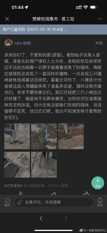 昆明理工大学 有学生在组织虐猫运动昆明理工大学 有学生在组织虐猫运动