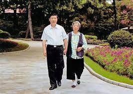 在母亲的故乡，雄安新区旁的保定高阳县，白洋淀湖畔，新区的远期规划如一幅泼墨山水画，正将齐心的老家描绘进来