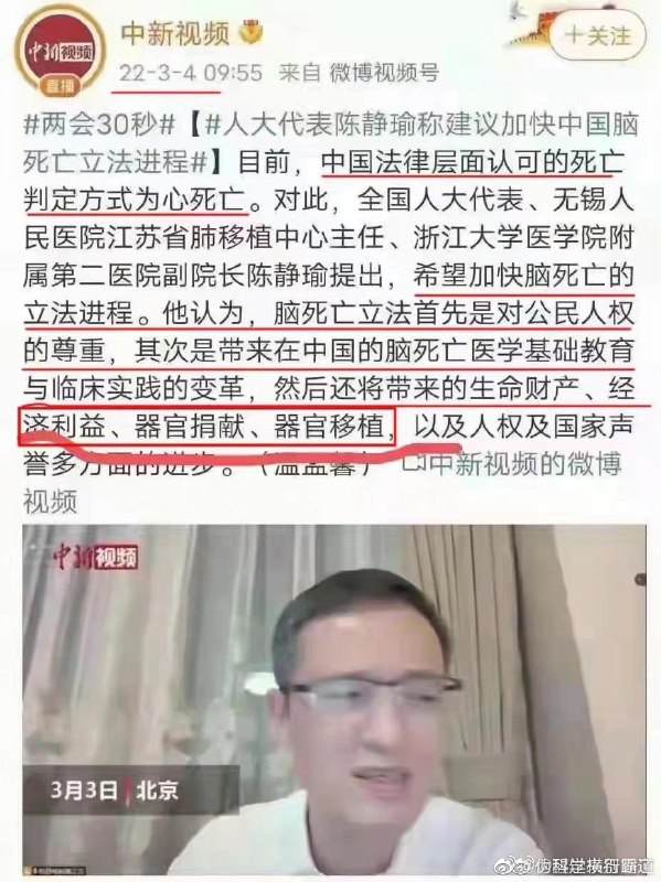 荷兰卖器官的风口By