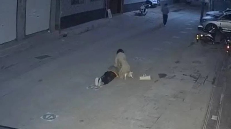 32岁北京小哥惨遭铁拳死亡投稿By