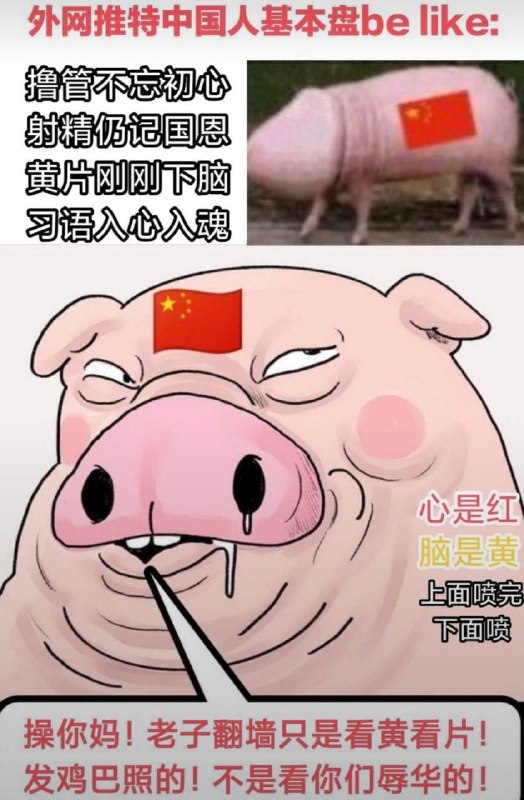 看完这张图片能绷住的是老绷家了👤 来自
