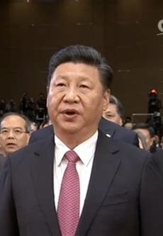 它看了看安倍的新闻，坚定了一百年不出门的信念