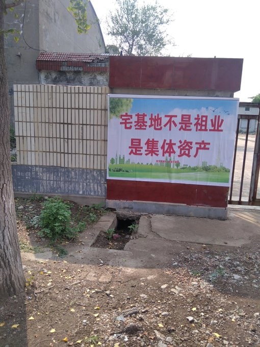 一切都是党的马迎新⚔️贩卖幼女