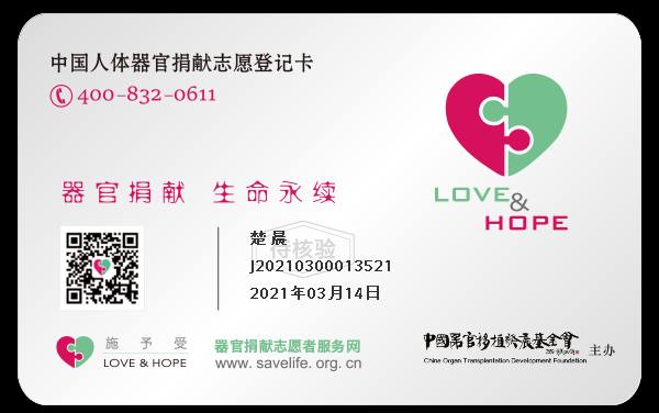 我们怀念他们我们怀念他们