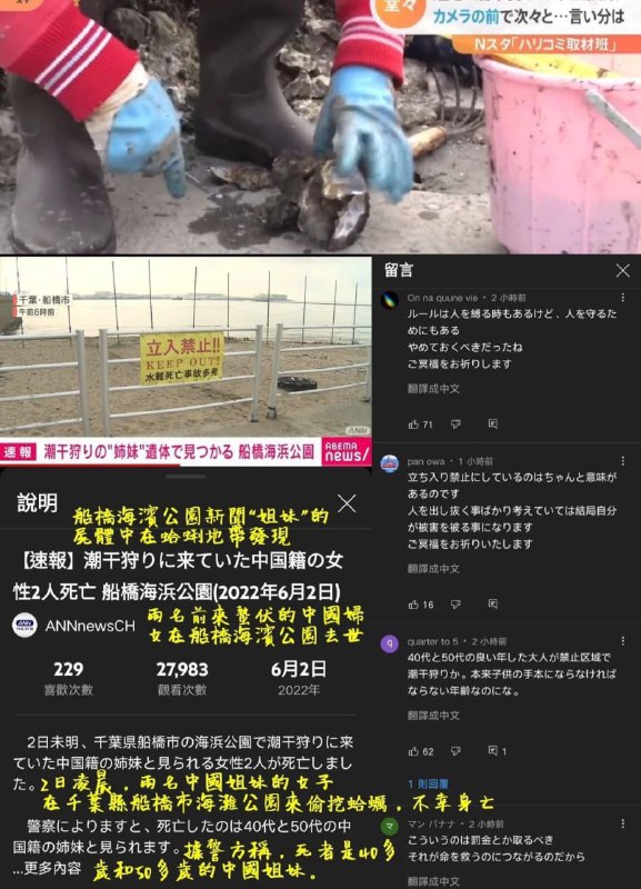 贪婪的中国人挖贝壳吃，被淹死投稿By