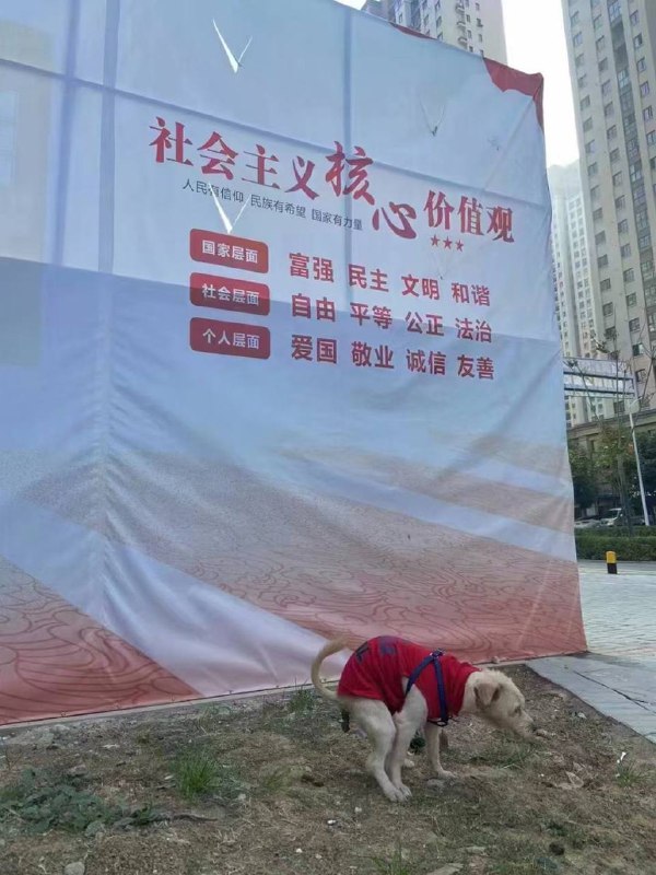 哪条反华狗?By
