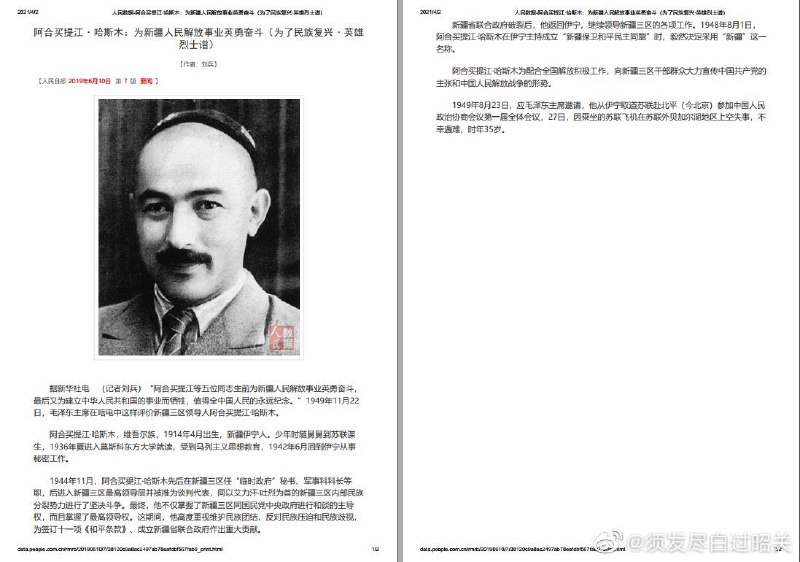 路人维尼