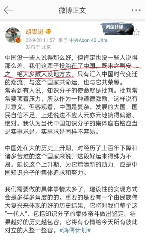 《胡锡进
