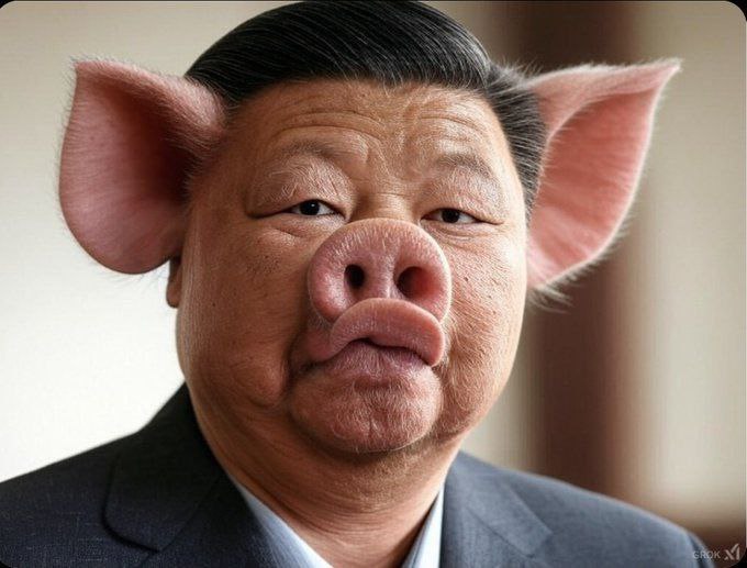 猪习By:匿名投稿#