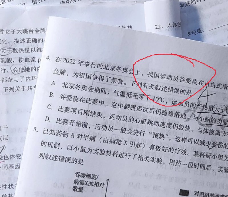 投稿By