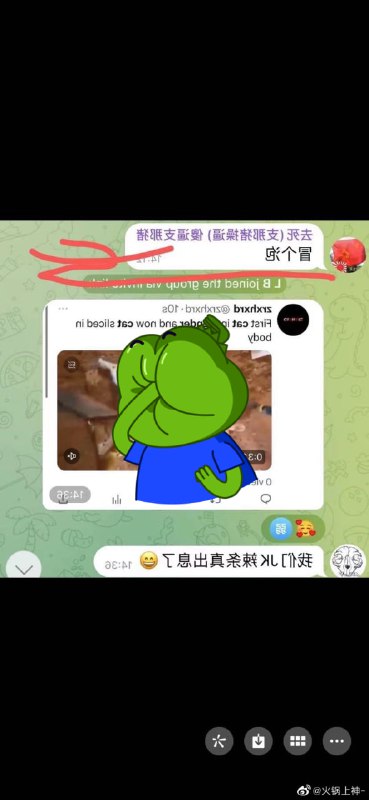 猫咪刽子手徐志辉，再次直播虐猫