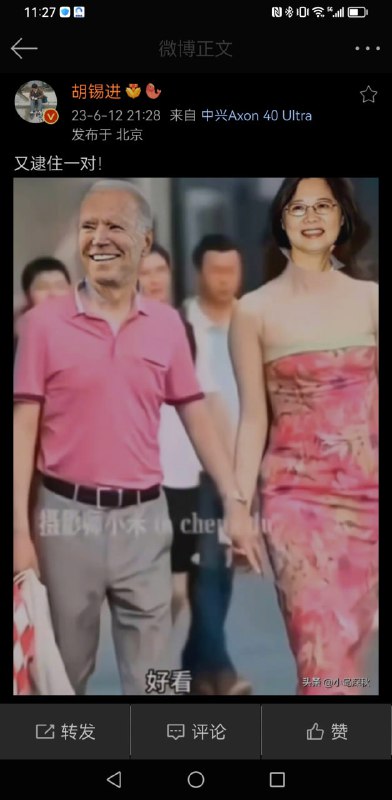 胡锡进fake news