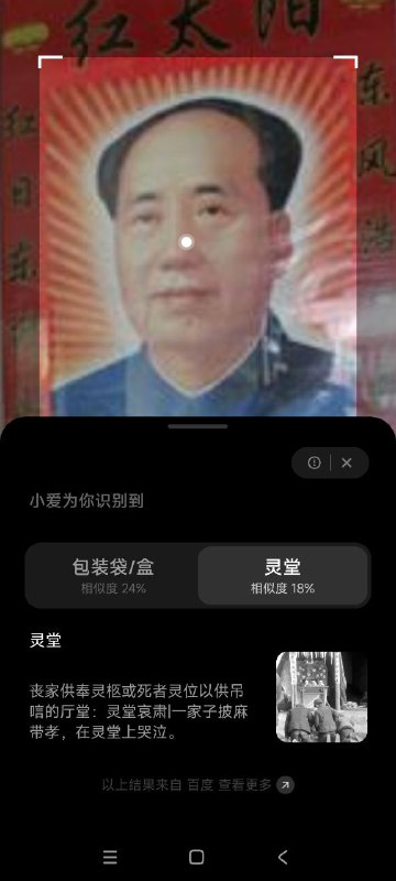 小爱欠摘了By