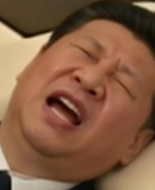 习近平之所以遭到世人憎恨主要有以下原因