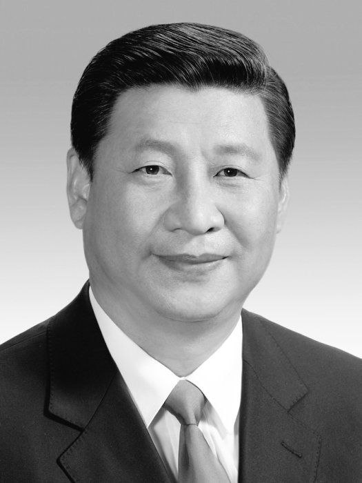 2013年，3月14日，习近平在第十二届全国人民代表大会上接替胡锦涛当选为中华人民共和国主席