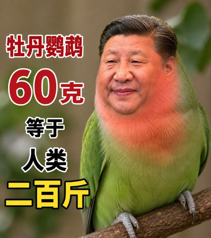 形象生動的比喻😎 匿名投稿