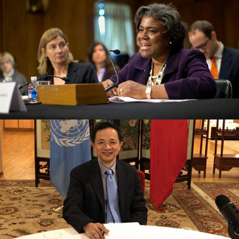 在今天的联合国大会消除种族歧视国际日会议上非裔美国🇺🇸代表格林菲尔德