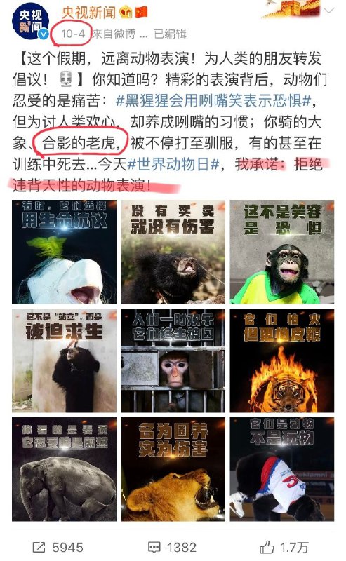 这就是中国🇨🇳这就是中国🇨🇳