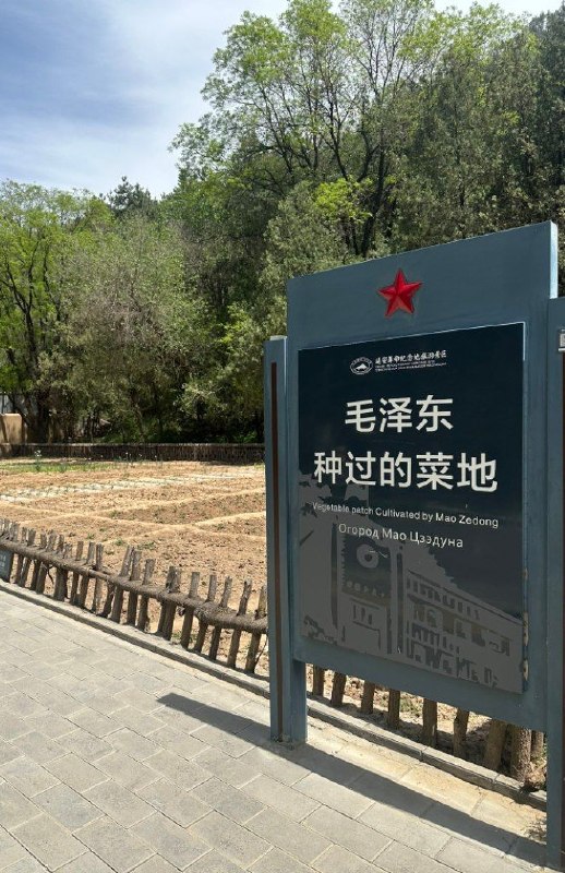 种的是罂粟吗？😎 匿名投稿