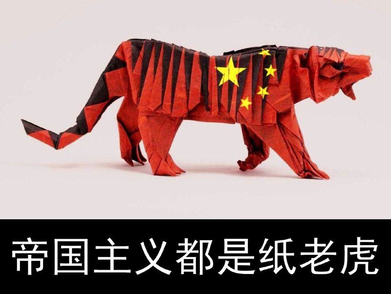 投稿By