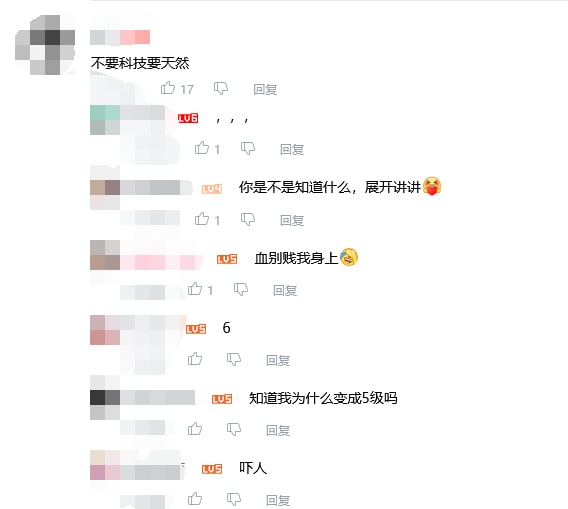 某位在美华裔UP视频下方评论By