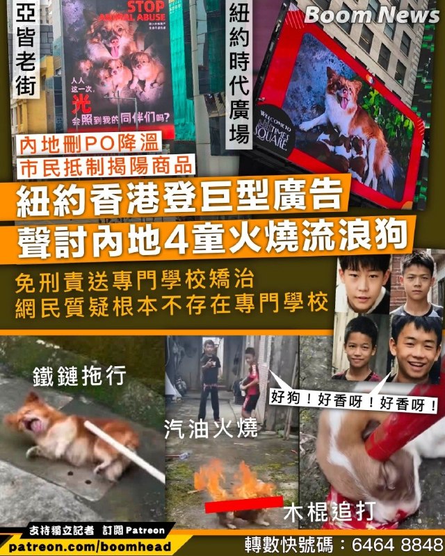 👤 来自