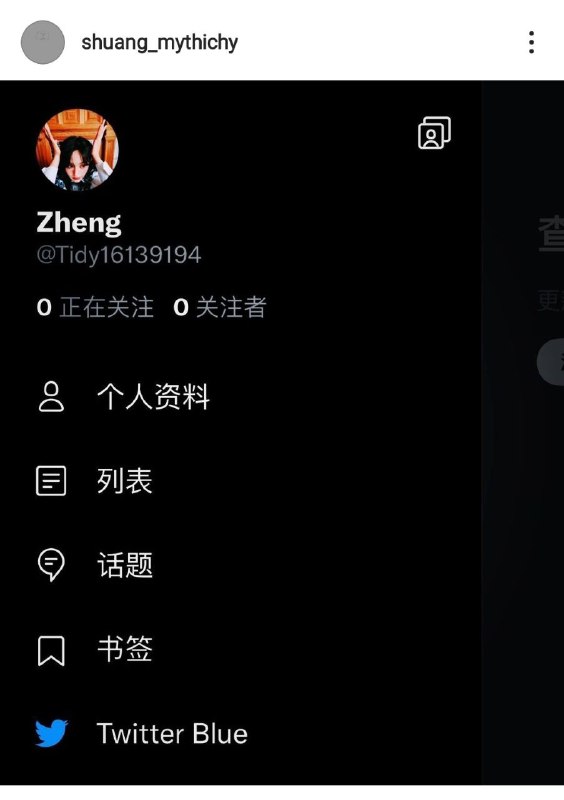 疑似郑爽本尊翻墙声援彭帅 