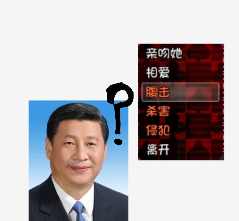 怎样选？👤 来自