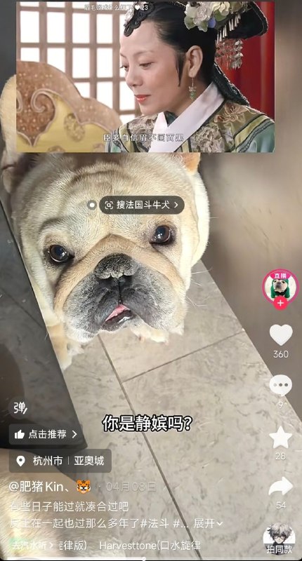 😎 匿名投稿