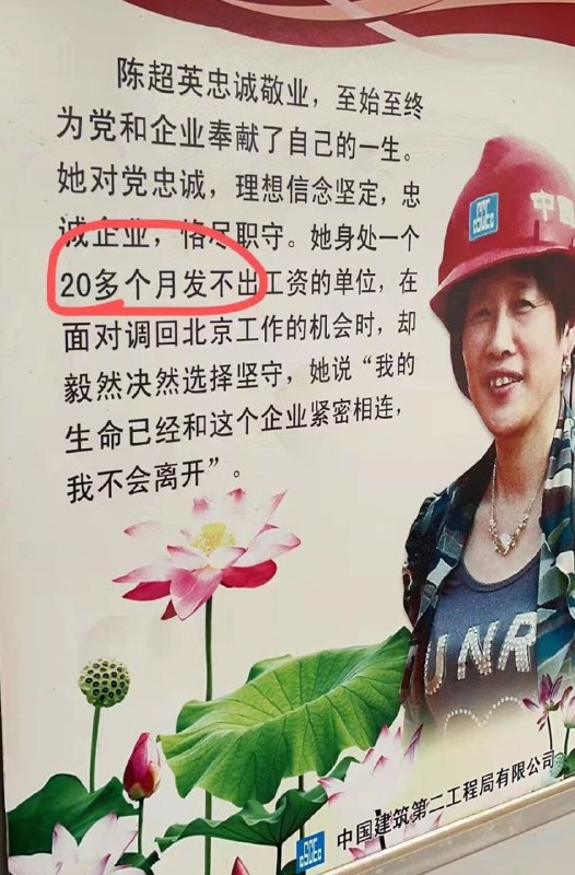 浪友锐评