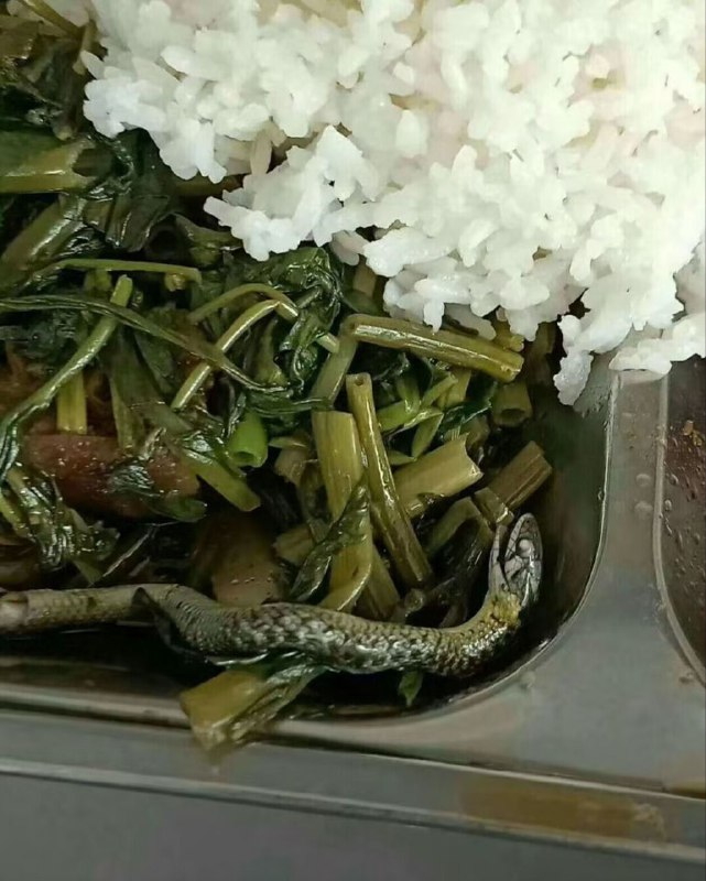 中国的学校食堂,你永远猜不到下一口会吃到什么