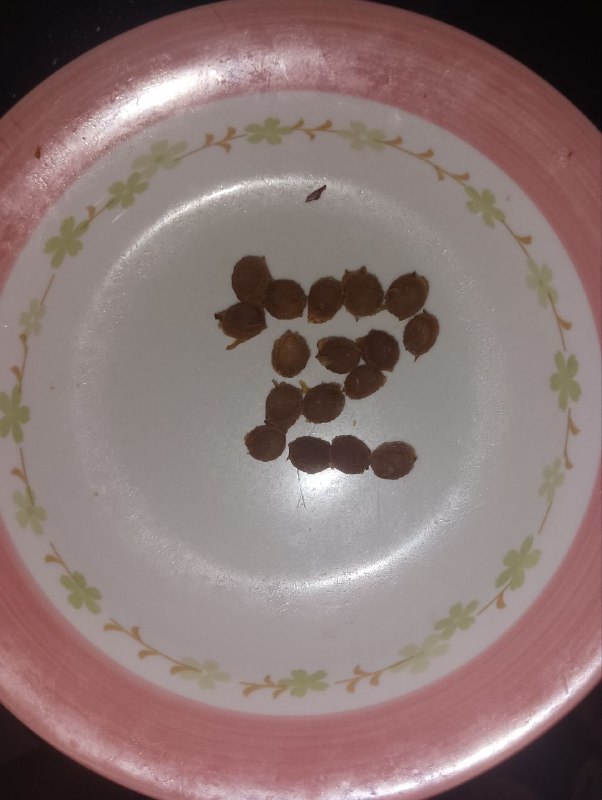 看懂的有福了😏😎 匿名投稿看懂的有福了😏😎 匿名投稿