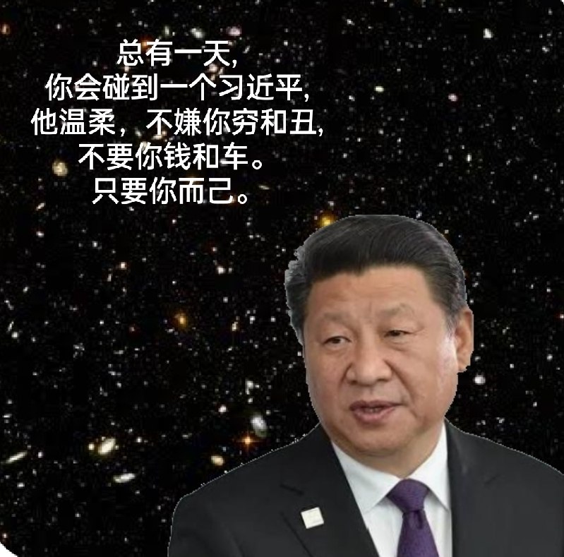 我与老习才是纯爱吧？