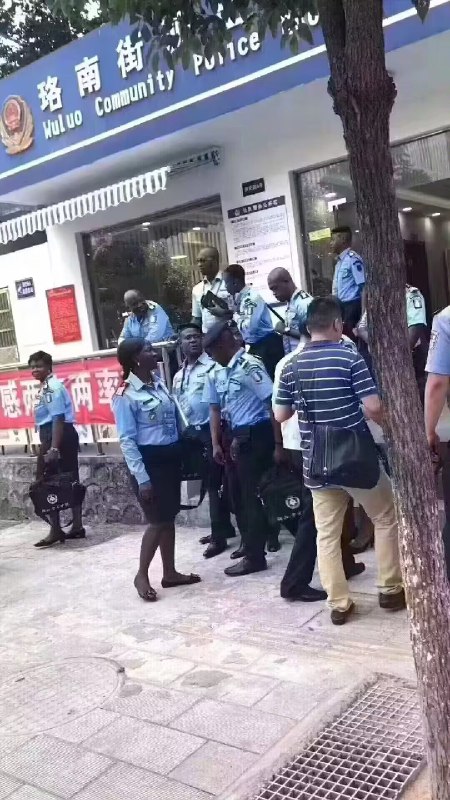 投稿By