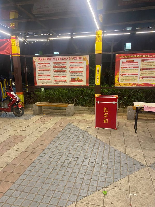 在中国长这么大，头一次见到投票By