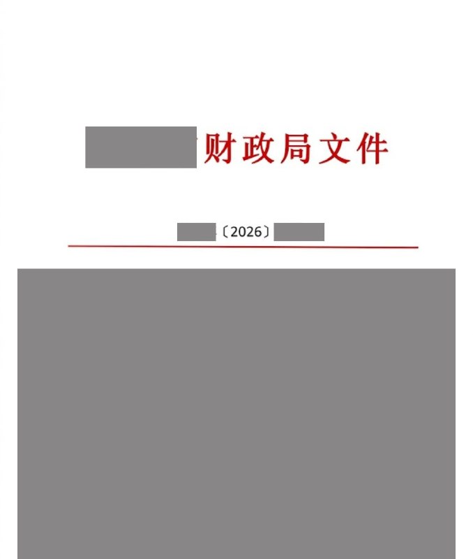 🇹🇼 揭開財政遮羞布，看清經濟寒冬