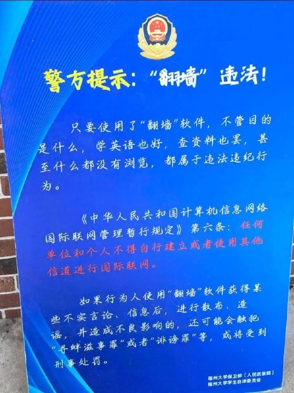 迴力鏢來了！小粉紅常