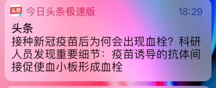 投稿By