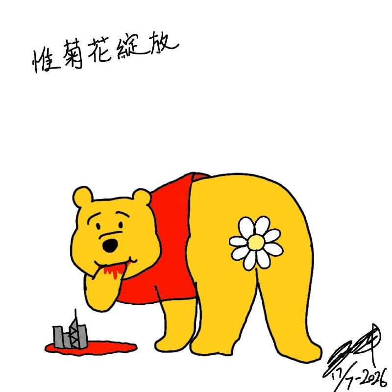 投稿：惟菊花绽放🌼