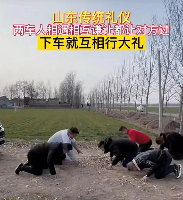 投稿By