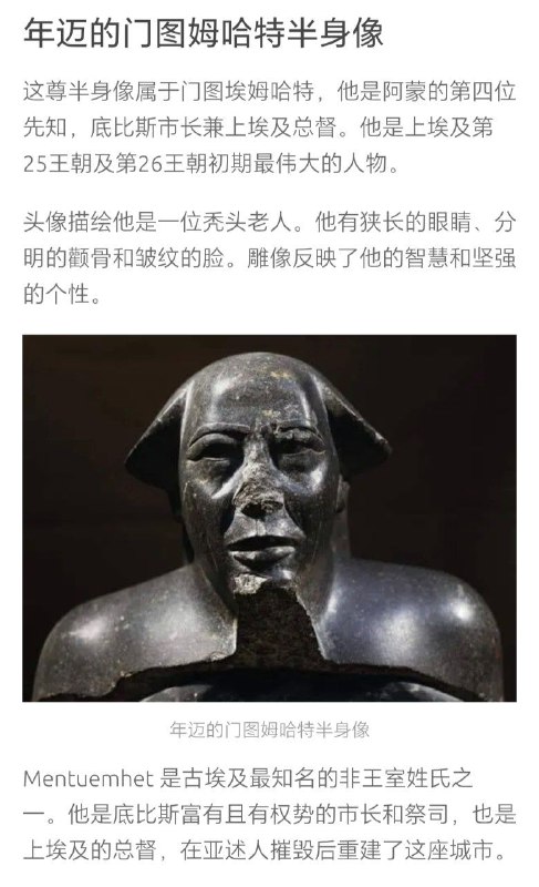 新皮肤